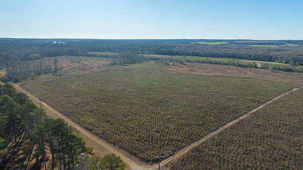 79 Acres of Land for Sale in Preston, Georgia