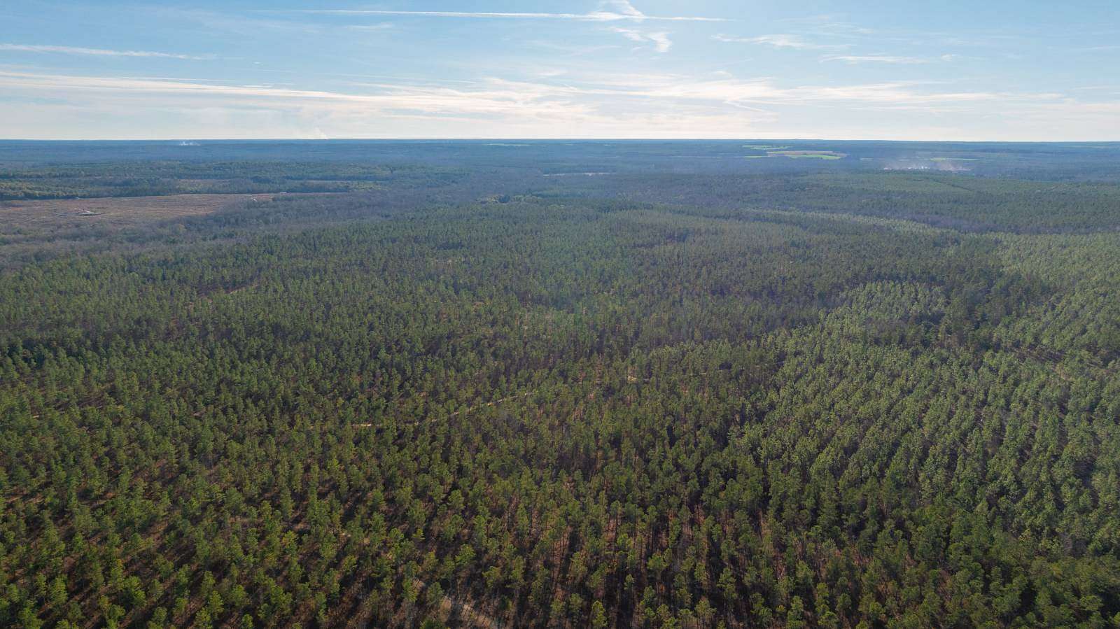 775 Acres of Land for Sale in Preston, Georgia