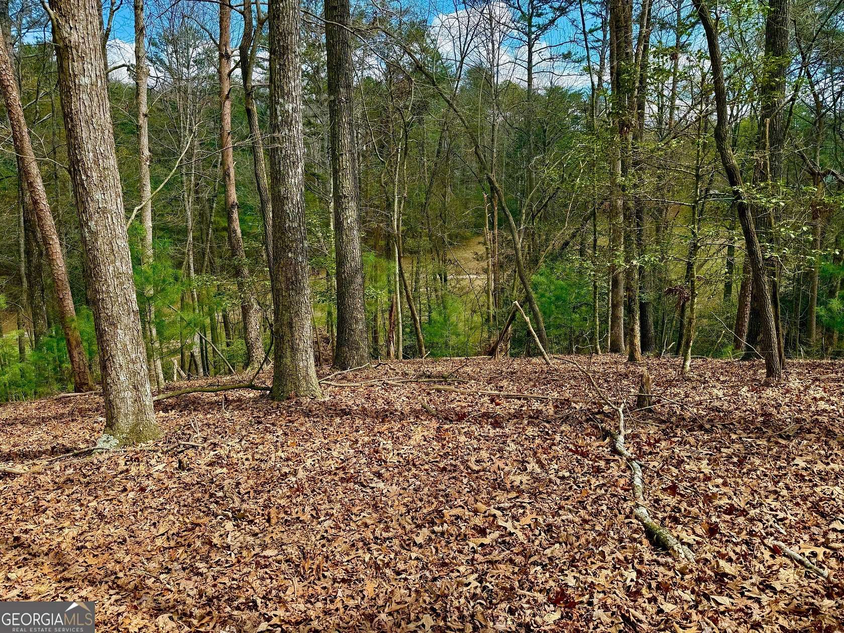 0.89 Acres of Residential Land for Sale in Ellijay, Georgia