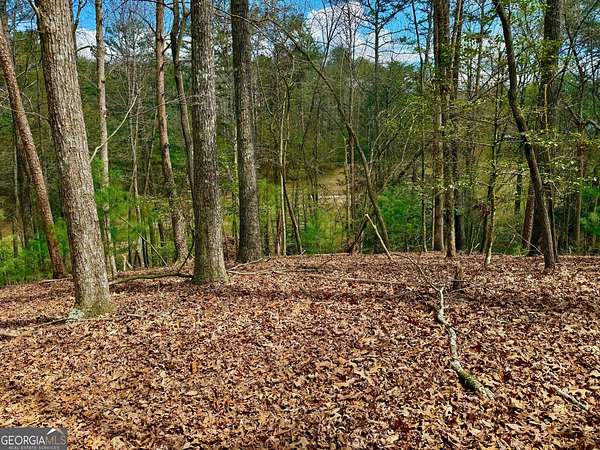 0.89 Acres of Residential Land for Sale in Ellijay, Georgia