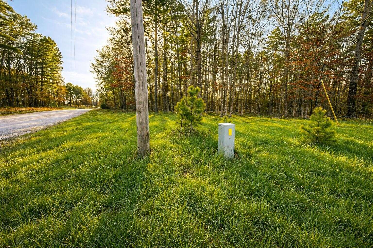 5 Acres of Land for Sale in Raymondville, Missouri