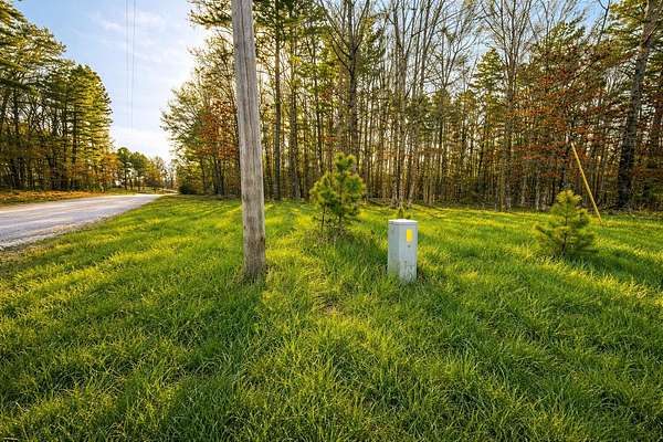 5 Acres of Land for Sale in Raymondville, Missouri