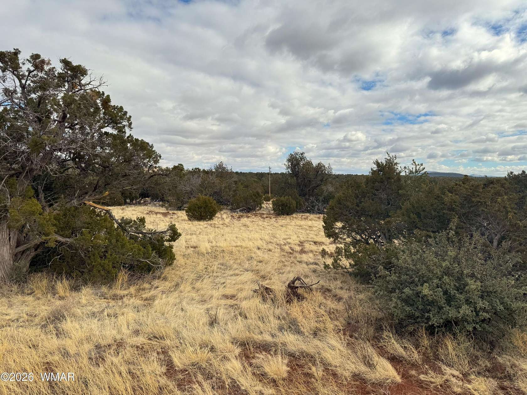 1.5 Acres of Residential Land for Sale in Vernon, Arizona