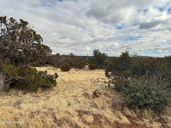 1.5 Acres of Residential Land for Sale in Vernon, Arizona