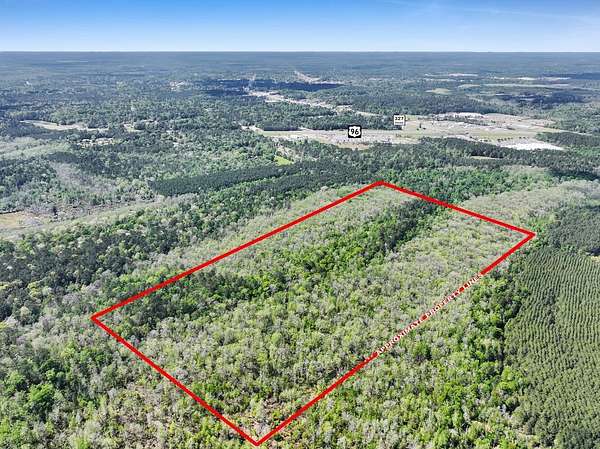 90.4 Acres of Recreational & Residential Land for Sale in Silsbee, Texas
