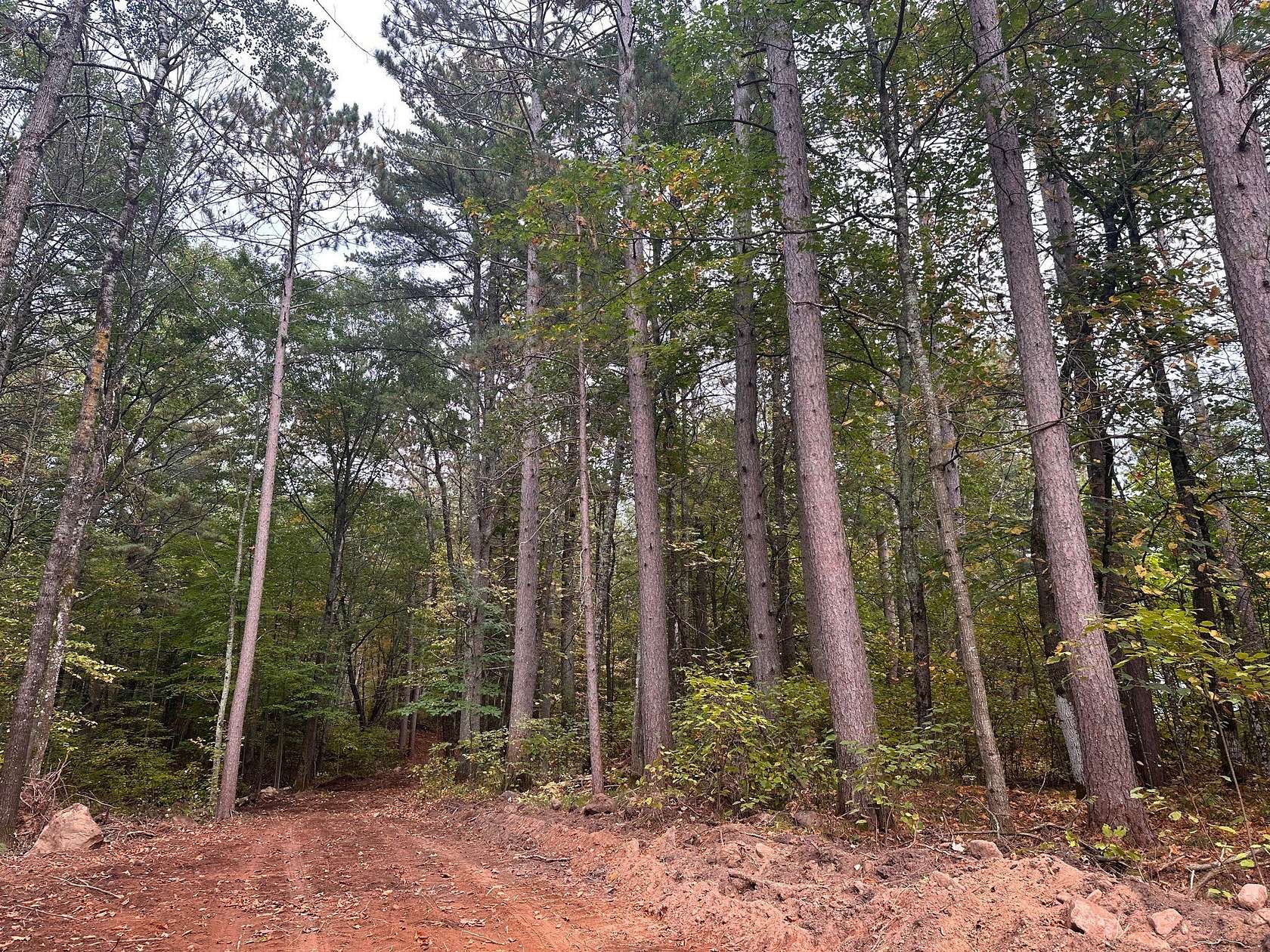 7.63 Acres of Land for Sale in Hayward, Wisconsin