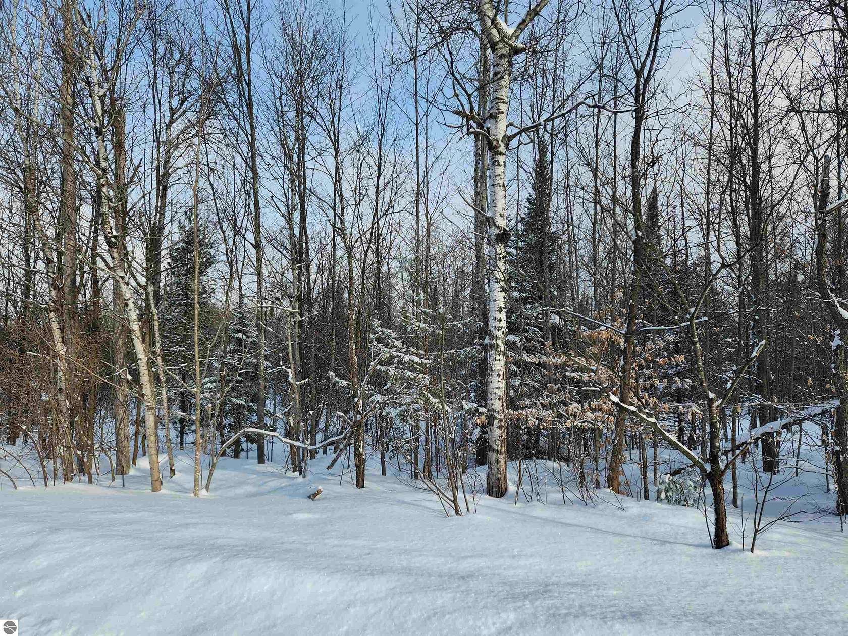 8 Acres of Land for Sale in Rapid City, Michigan