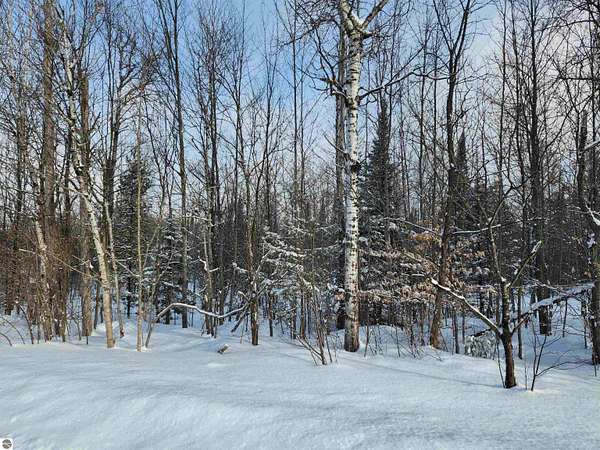 8 Acres of Land for Sale in Rapid City, Michigan