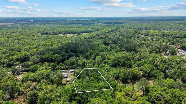 1.56 Acres of Residential Land for Sale in Thonotosassa, Florida
