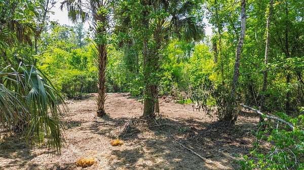 1.56 Acres of Residential Land for Sale in Thonotosassa, Florida