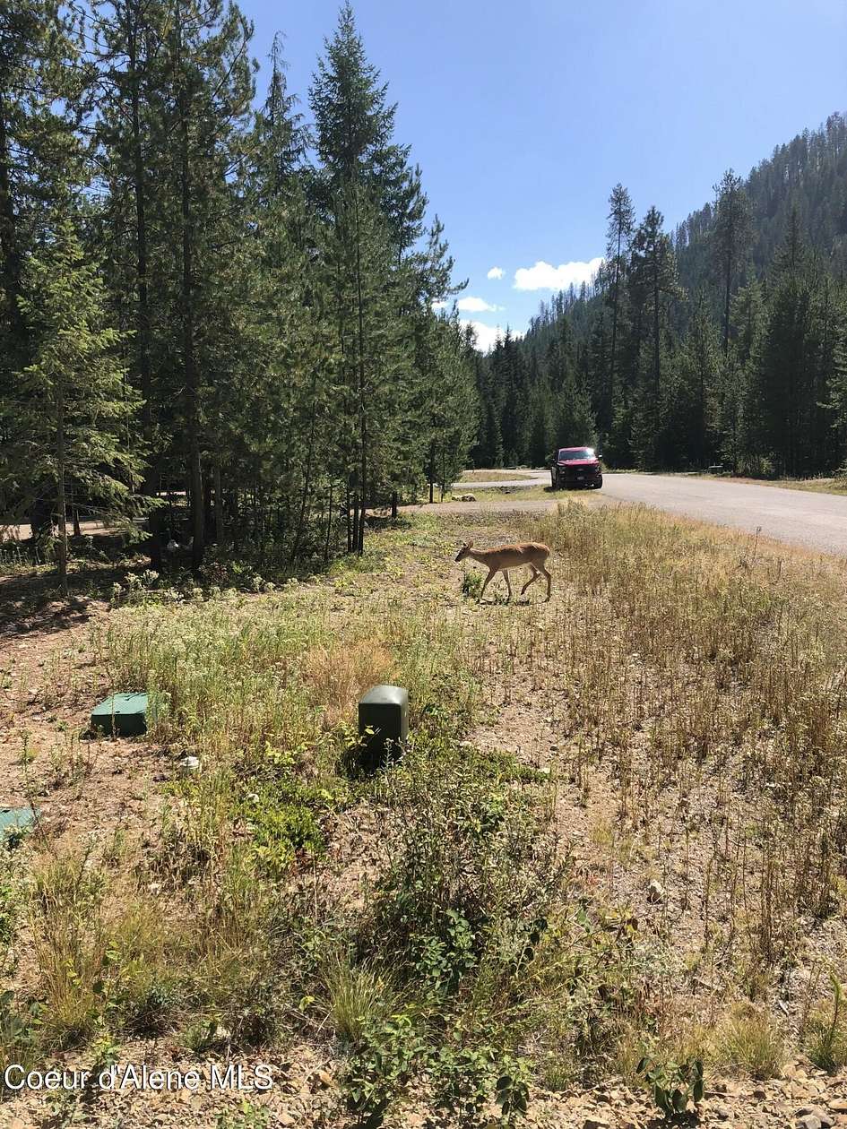 0.36 Acres of Land for Sale in Coolin, Idaho