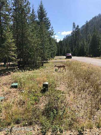 0.36 Acres of Land for Sale in Coolin, Idaho