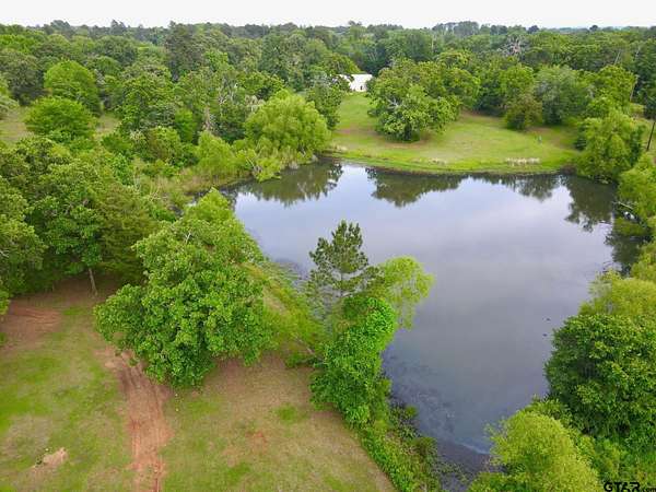 16.3 Acres of Land with Home for Sale in Flint, Texas