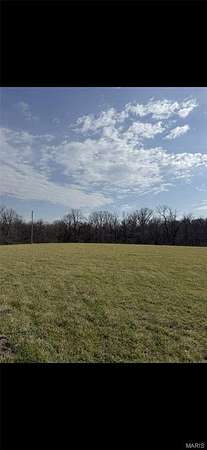 32.5 Acres of Land for Sale in Scottville, Illinois