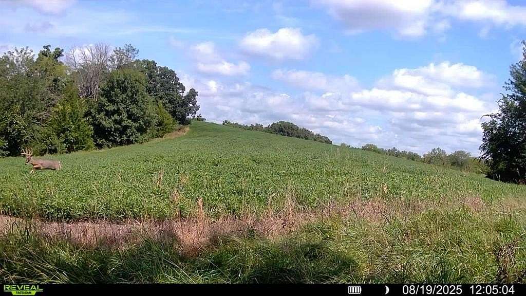 100 Acres of Agricultural Land with Home for Sale in Mercer, Missouri