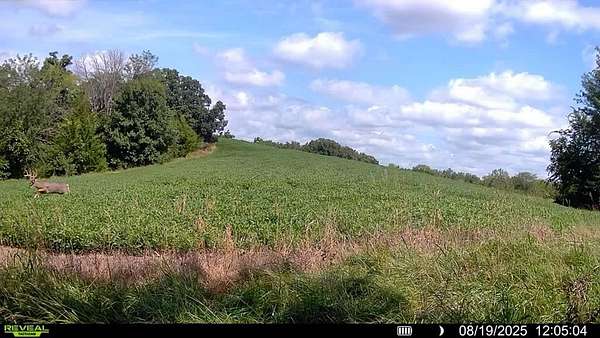 100 Acres of Agricultural Land with Home for Sale in Mercer, Missouri