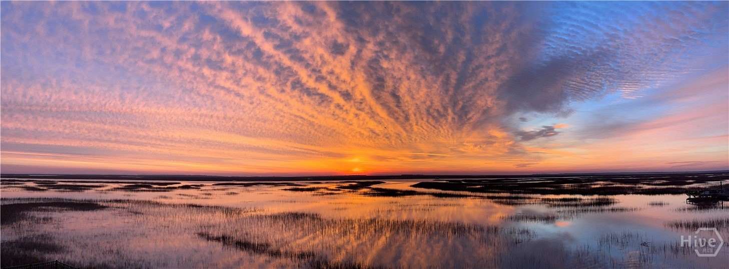 2.78 Acres of Land with Home for Sale in Savannah, Georgia