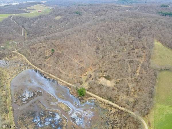 41 Acres of Recreational Land for Auction in Killbuck, Ohio