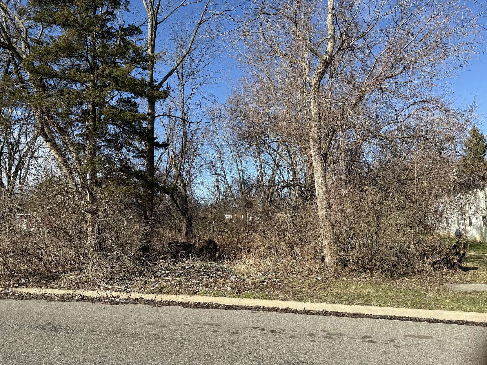 0.15 Acres of Land for Sale in Inkster, Michigan