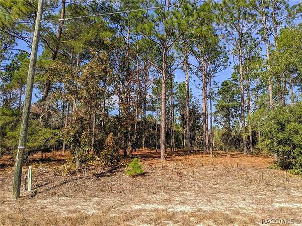 0.28 Acres of Residential Land for Sale in Citrus Springs, Florida