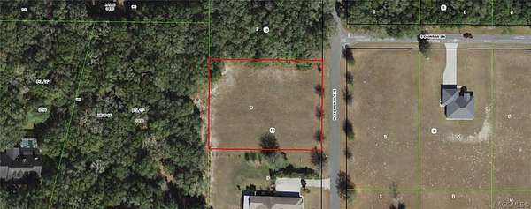 0.99 Acres of Residential Land for Sale in Hernando, Florida