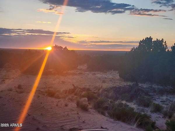 18 Acres of Recreational Land for Sale in St. Johns, Arizona