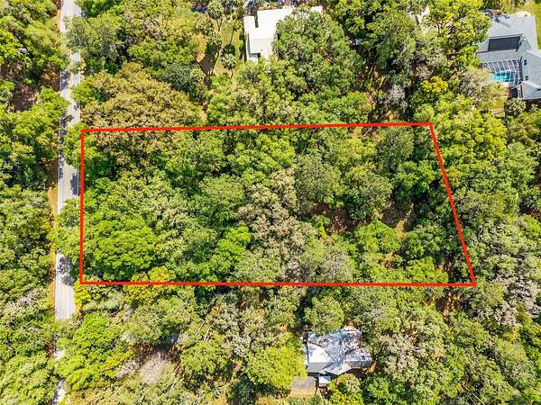 1.5 Acres of Residential Land for Sale in Micanopy, Florida