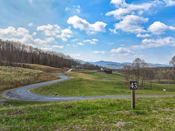 1 Acre of Residential Land for Sale in Morganton, Georgia