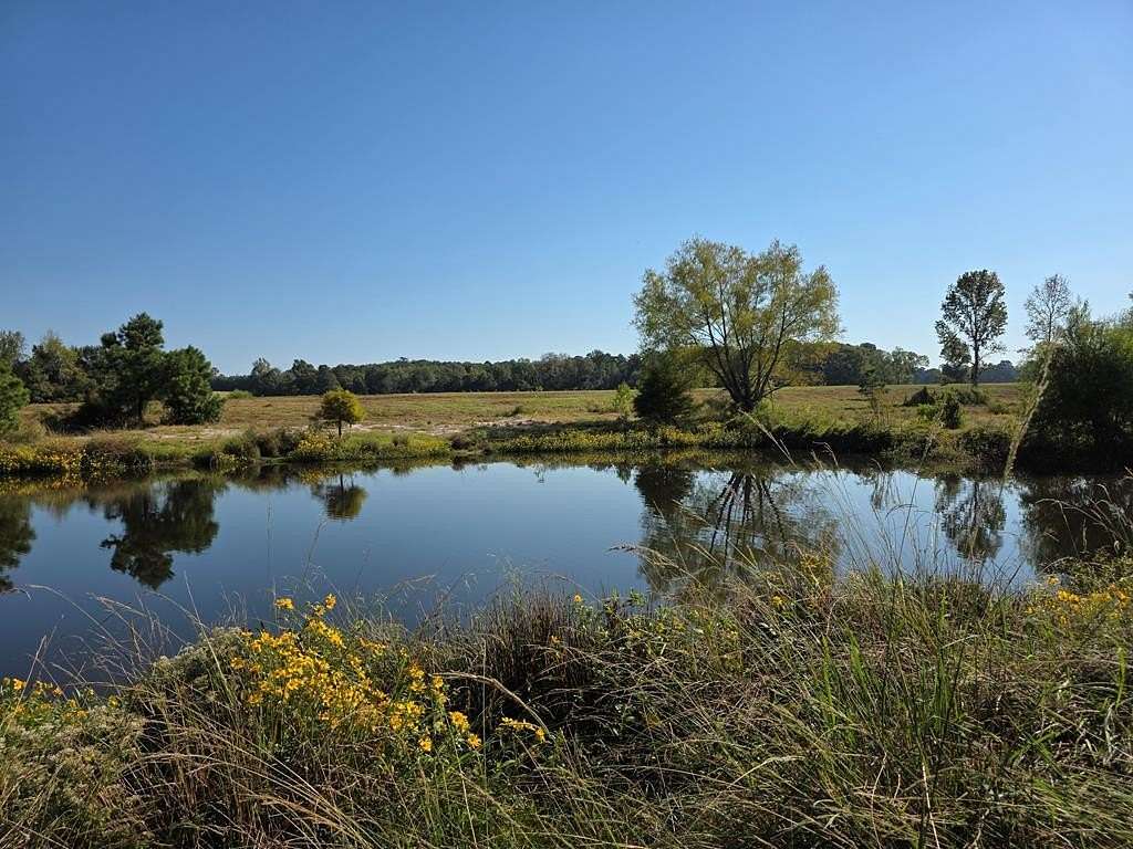 119 Acres of Agricultural Land with Home for Sale in Jasper, Texas