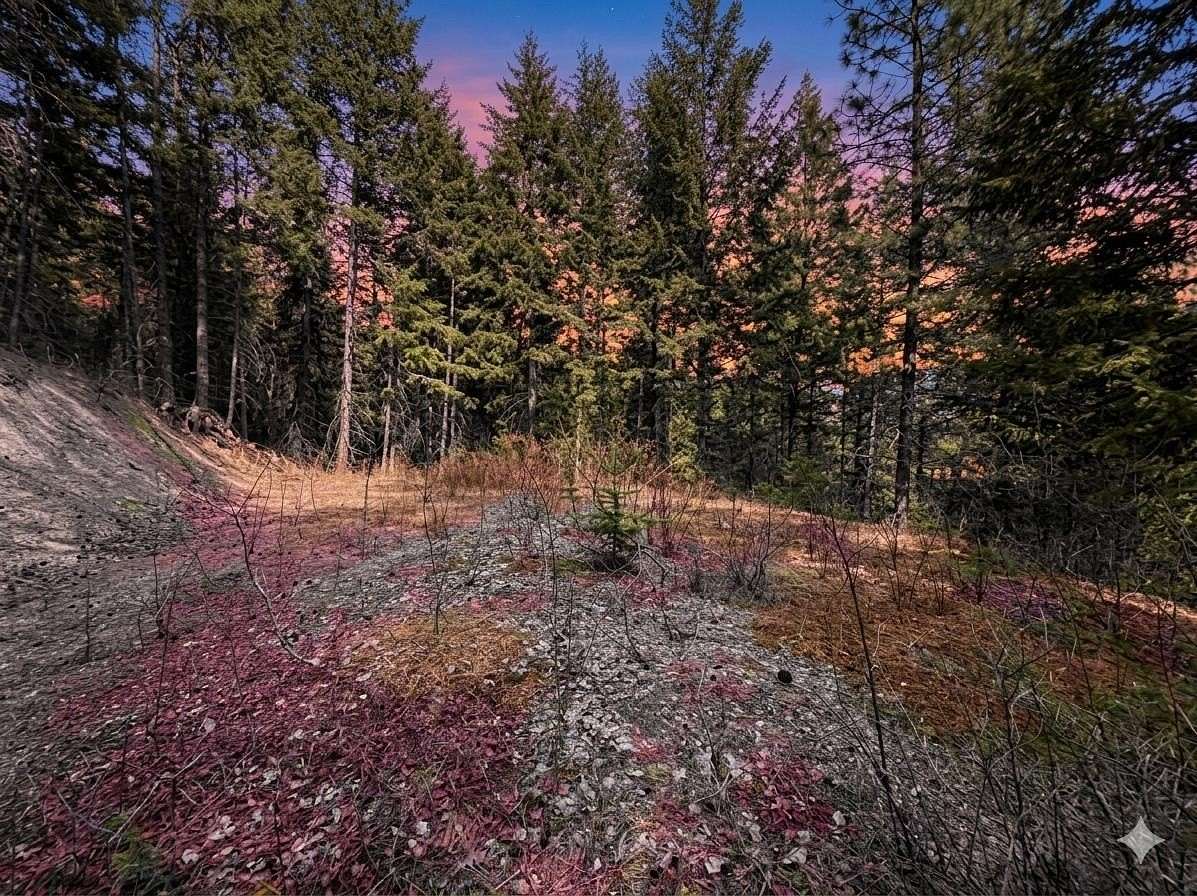 5.47 Acres of Recreational Land for Sale in Loon Lake, Washington