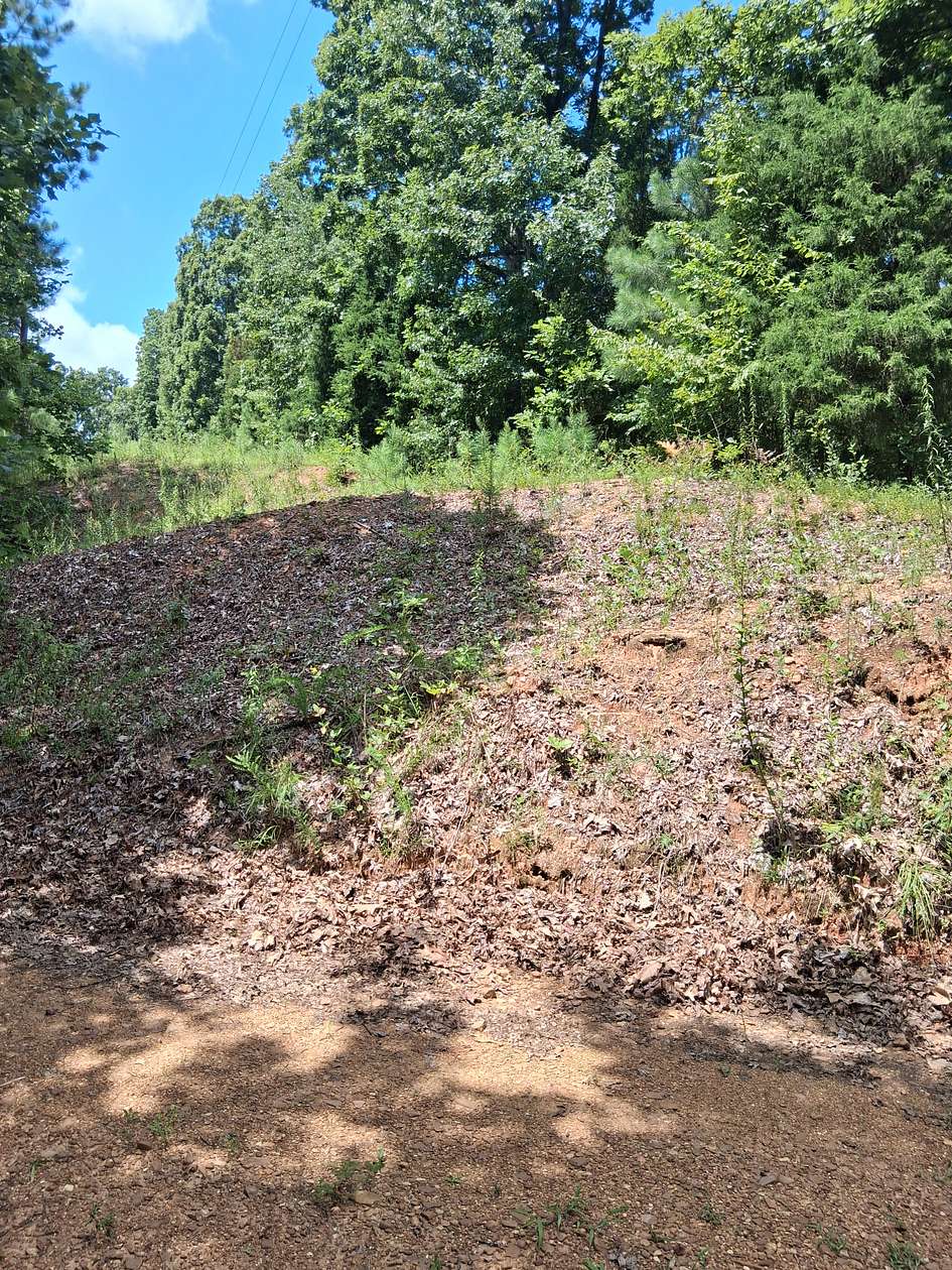 0.37 Acres of Residential Land for Sale in New Concord, Kentucky