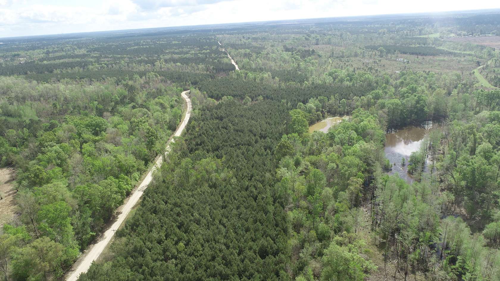 17.3 Acres of Recreational Land for Sale in Merryville, Louisiana