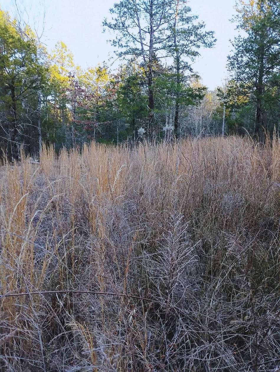 6 Acres of Land for Sale in Panola, Oklahoma