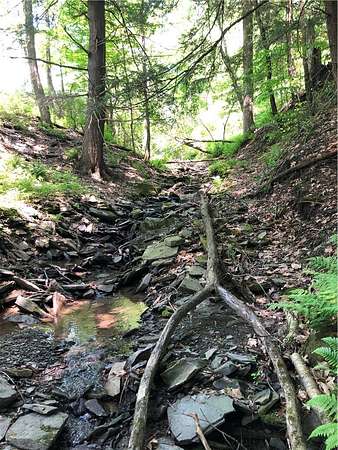 2.37 Acres of Residential Land for Sale in Bainbridge, New York