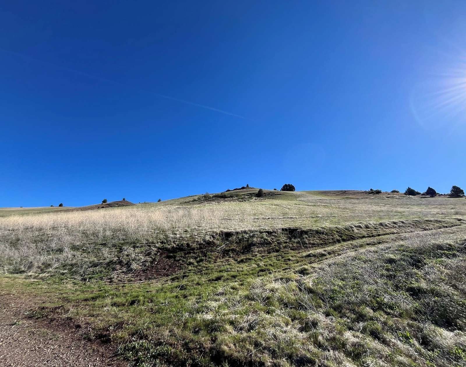 5.1 Acres of Residential Land for Sale in Hornbrook, California