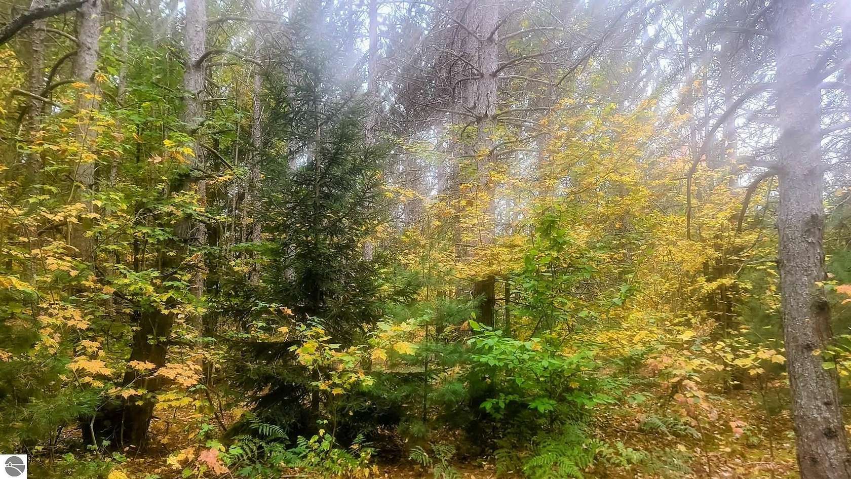 2.5 Acres of Land for Sale in Mancelona, Michigan