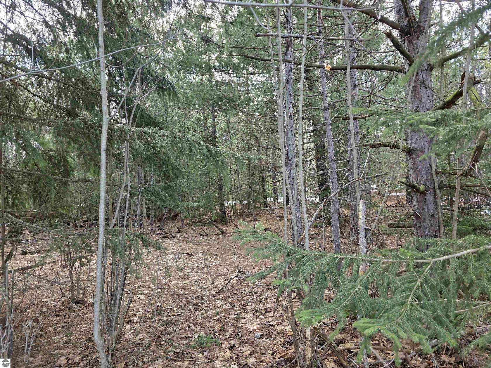 2.5 Acres of Land for Sale in Mancelona, Michigan