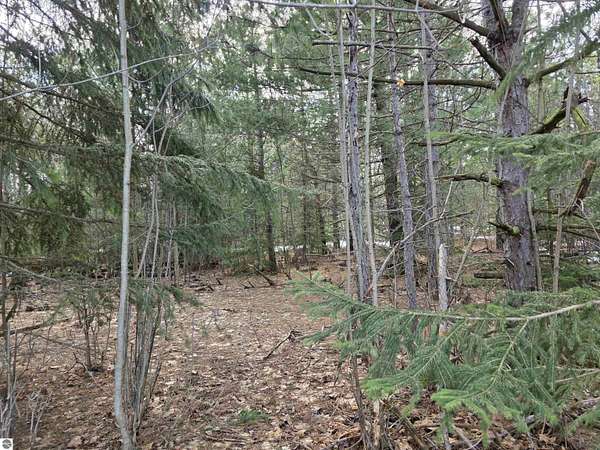 2.5 Acres of Land for Sale in Mancelona, Michigan