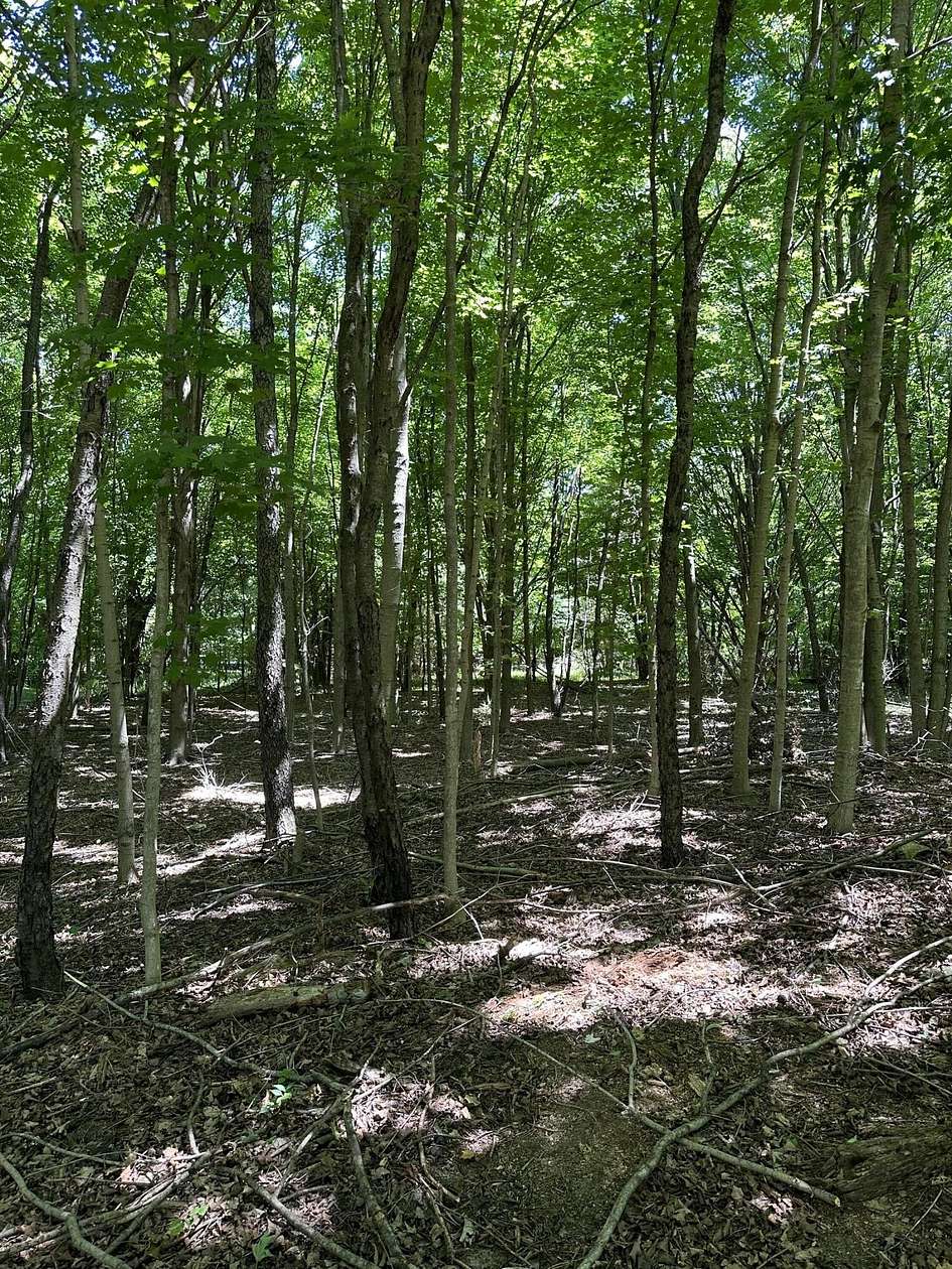 2.56 Acres of Residential Land for Sale in South Haven, Michigan