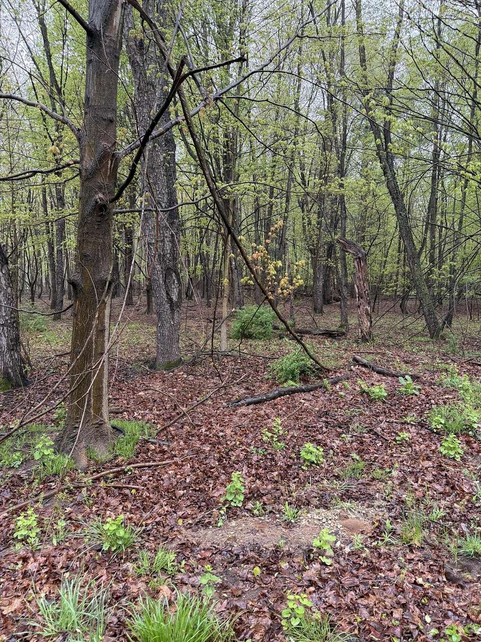 2.56 Acres of Residential Land for Sale in South Haven, Michigan