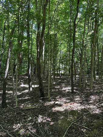 2.56 Acres of Residential Land for Sale in South Haven, Michigan