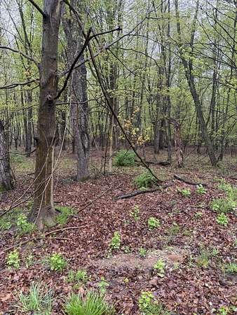 2.56 Acres of Residential Land for Sale in South Haven, Michigan