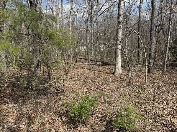 0.25 Acres of Residential Land for Sale in Fairfield Glade, Tennessee