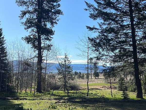 0.9 Acres of Residential Land for Sale in Donnelly, Idaho