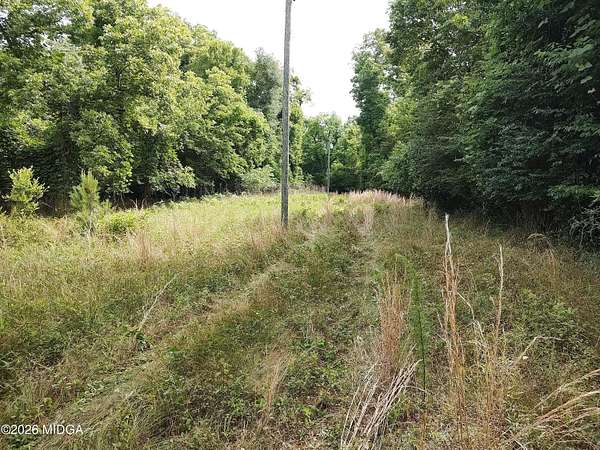 27.5 Acres of Recreational Land for Sale in Macon, Georgia