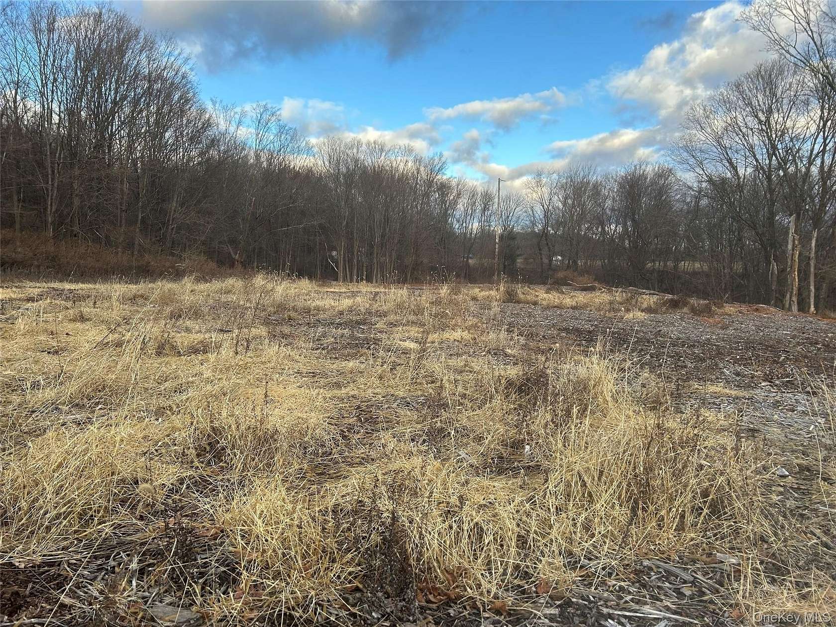 10 Acres of Recreational & Residential Land for Sale in Brewster, New York