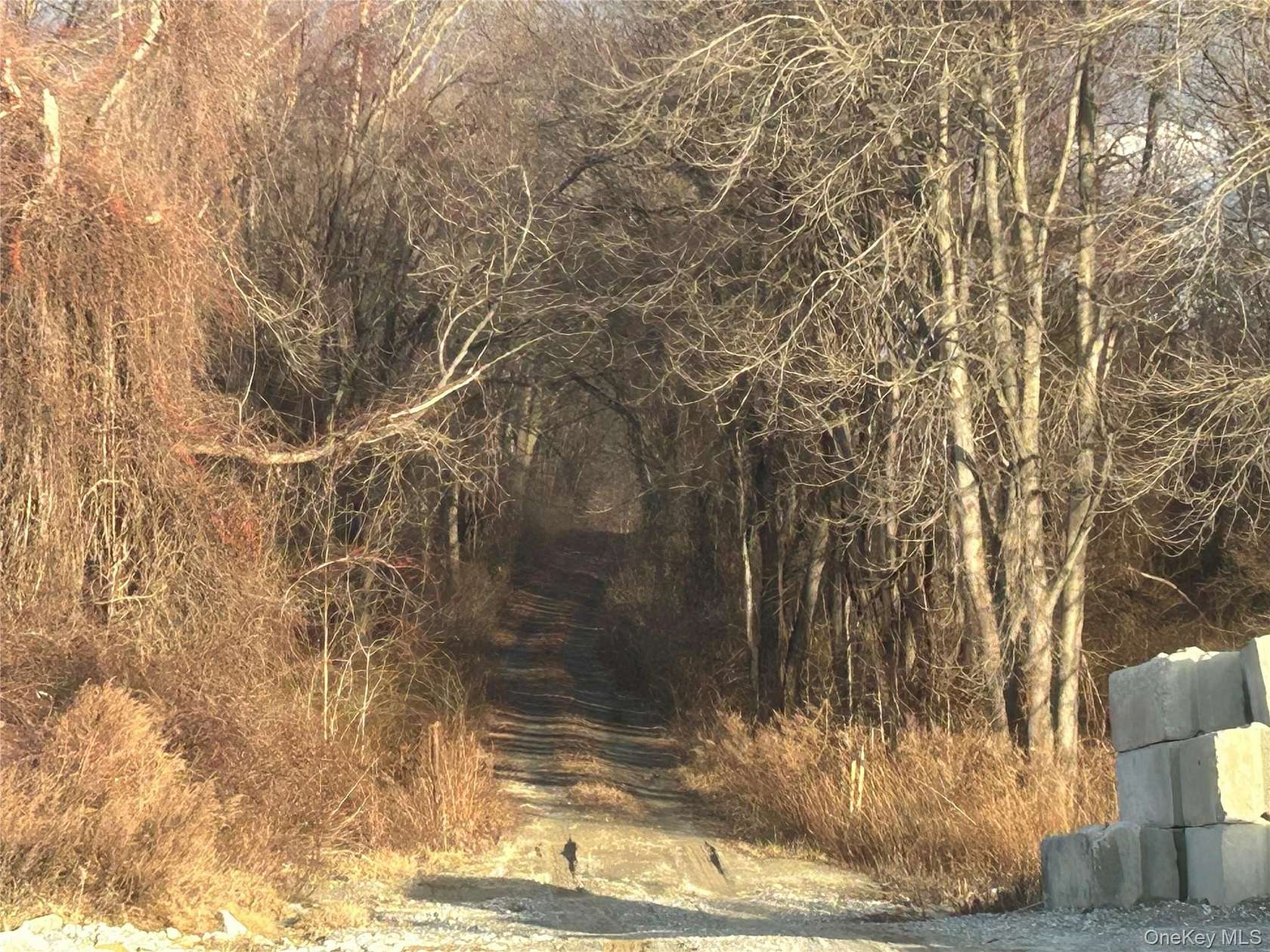 10 Acres of Mixed-Use Land for Lease in Brewster, New York