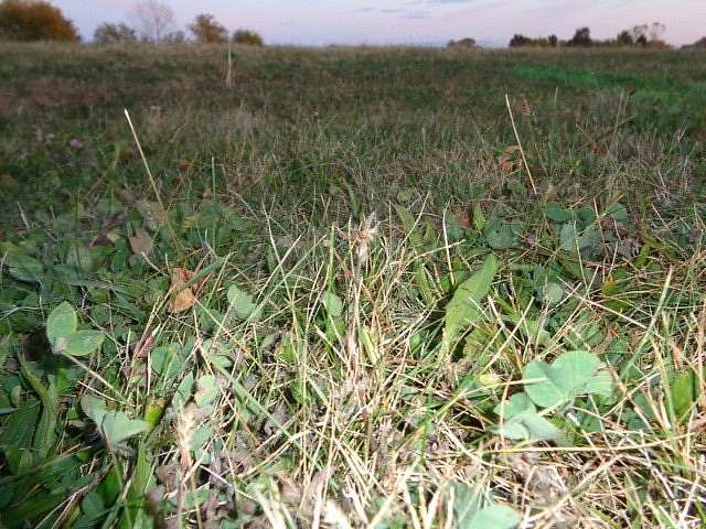 0.17 Acres of Residential Land for Sale in Lockport, Illinois