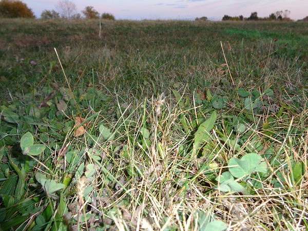 0.17 Acres of Residential Land for Sale in Lockport, Illinois