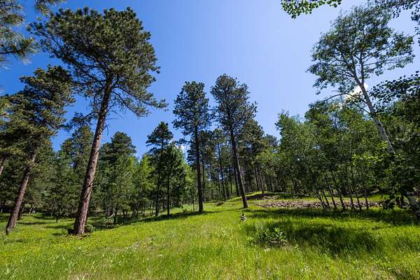 2 Acres of Residential Land for Sale in Deadwood, South Dakota